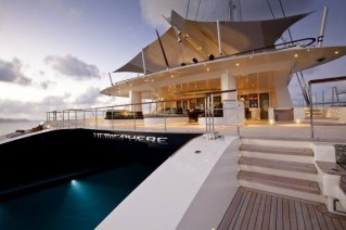 Cat HEMISPHERE by Pendennis -  Stern